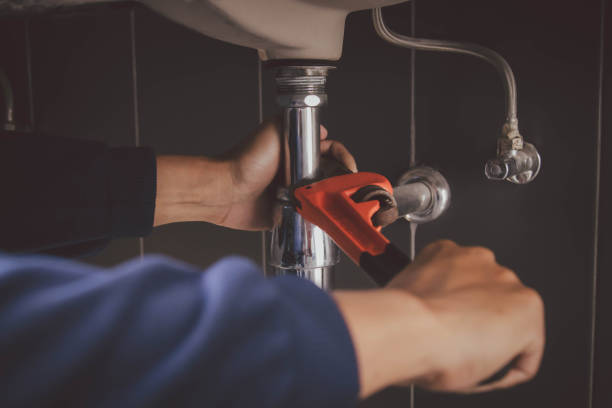 Best Plumbing Services Near Me  in Lutz, FL